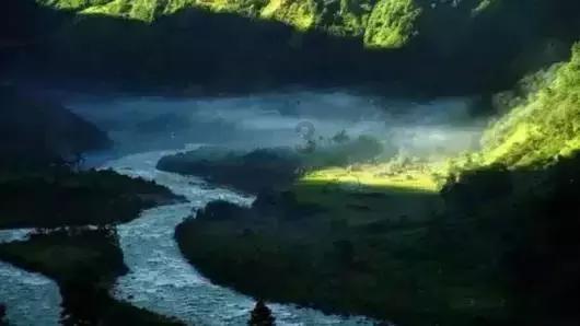 蝙蝠侠：阿甘骑士