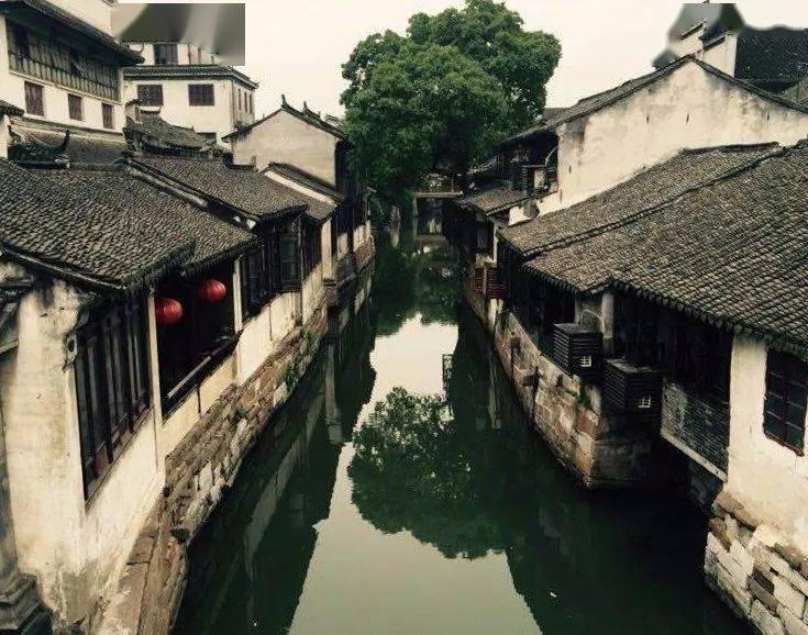 孤岛惊魂原始杀戮